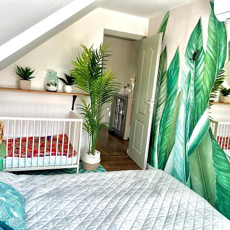 Bohemian Eco Kisapati